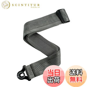�y���������zD'Addario �_�_���I �M�^�[�X�g���b�v Autolock Strap 50BAL Padded �y�������K�i�z �F�FMetal Grey�A�T�C�Y�F8cm x 20cm x 6cm
