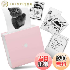 �y���������zPhomemo M02 �~�j�v�����^�[�c �F�F�s���N�A�T�C�Y�F�{��+1���[���p���i�T���v���j