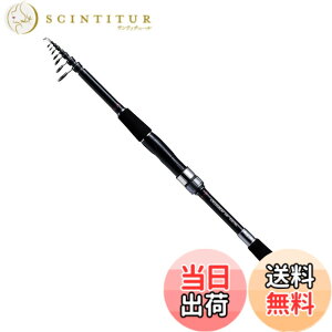 �y���������z�_�C��(DAIWA) �U��o�����A�[���b�h CROSSBEAT SW �F�F�u���b�N�A�T�C�Y�F1.98m