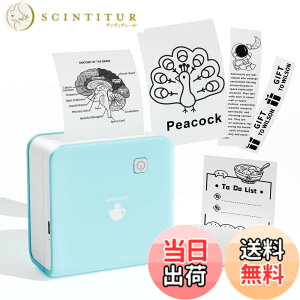 �y���������zPhomemo �~�j�v�����^�[ �T�[�}���v�����^�[ M02 Pro 300DPI AI �X�}�z�Ή� �|�[�^�u���� ���o�C���Ղ�񂽁[ �t�H�g�v�����^ ���� �X�e�b�J�[ �|�P�b�g�Ղ�񂽁[ ���M ���� �ʐ^���