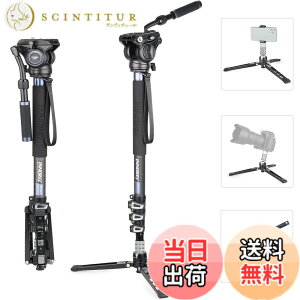 �y���������zINNOREL VM70 Series �_��t�� ���m�|�b�h �X�^���h �A���~ ��r �r�f�I �B�e�p ���O�r �ώ� �F�FVM70CK�Z�b�g�A�T�C�Y�FL