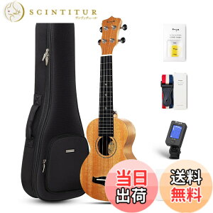 �y���������zEnya �}�z�K�j�[�E�N���� �F�F�؂̐F�\�v���m�E�N�����A�T�C�Y�F�\�v���m