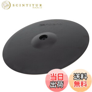�y���������zRoland ���[�����h CY-R-T ���C�h �T�C�Y�F16�C���`
