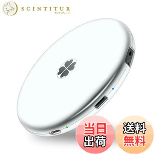 �y���������zApple�F�� (MFI�擾) �t���b�V���h���C�u iPhone USB������ iOS USB�������R�l�N�^�t�� iPhone X XS MAX iPad iPod touch�ȂǑΉ� �e�ʕs������ �F�F�V���o�[�O���[�A�T�C�Y�FSSD 1TB