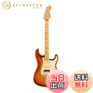 �y���������zFender �G���L�M�^�[ American Professional II Stratocaster HSS �F�F�V�G�i�T���o�[�X�g
