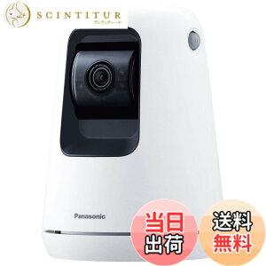 �y���������z�p�i�\�j�b�N WWA�Ή� �����J���� SECURITY_CAMERA �F�F�z���C�g�A�T�C�Y�F1�� (x 1)