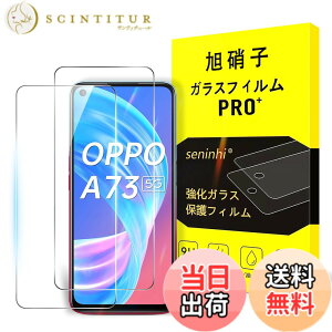 �y���������z�y2���t���ی�+2�������Y�ی�z �K���X�t�B���� �d�x9H ���Y���ɎqAGC�f�� �C�A�[�� ��U�h�~ �����x �Ռ��z�� ���E���h�G�b�W���H �F�Ftransparent�A�T�C�Y�FOPPO A73