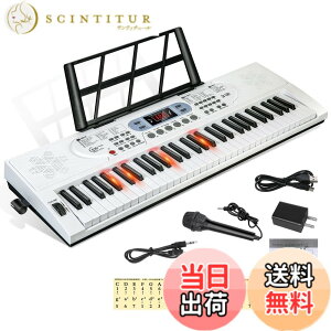 �y���������zHricane �L�[�{�[�h �s�A�m �d�q�s�A�m 61���� 200��މ��F 200��ރ��Y�� 60�ȃf���� LCD�f�B�X�v���C���� ���錮�� �y�� ���{��p�l�� �w�b�h�t�H���Ή� �q�� ���S�� ���K�p USB�P�[