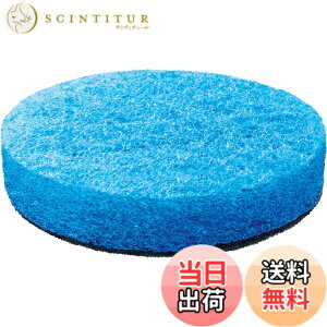 �y���������zBosch DIY(�{�b�V��) 3.6V�R�[�h���X�N���[�j���O�u���V(�{�́A�d���u���V�A�f�B�e�B�[���u���V�A�p�b�g�z���_�[�A�n�[�h�����o�b�h�A�\�t�g�����p�b�g �AMicroUSB�P�[�u���t) BRUSH 
