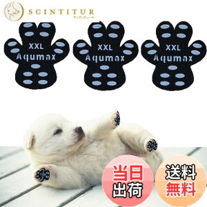 �y���������zAqumax 48���� ����~�� �p�b�h �� �� �p�b�h ���� �y�b�g �C���S���͂��� ����~�� ���� �ی� ���h�~ ���ׂ� �~�� �t�b�g �� �p �p�b�h-�d���؂̏����犊�藎����̂�h���g���N�V