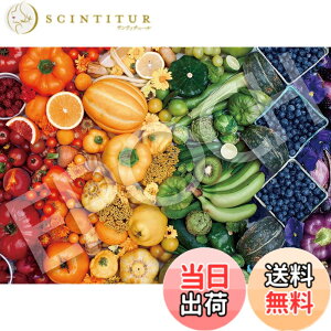 �y���������z�G�|�b�N�� 1053�X�[�p�[�X���[���s�[�X �W�O�\�[�p�Y�� �F�FRainbow of Produce (���C���{�[ �I�u �v���f���[�X)�A�T�C�Y�F38x53cm