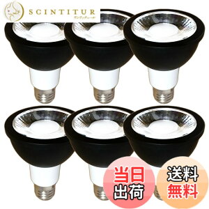 �y���������zFWAYTECH LED�d�� E26 �����Ή� 6W �_�C�N���^50W-60W���� ���p30�x �_�N�g���[��LED�X�|�b�g���C�g �_�C�N���n���Q���d����ւ� �����Ή� �F�F�����F����(5000K)�A�T�C�Y�F�{�̍� E17