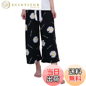�y���������z[nobistar] �X�e�e�R ���f�B�[�X �����b�N�X�p���c �� ���[���p���c �����b�N�X ������ �ԕ� �n�C�r�X�J�X �F�FJ�A�T�C�Y�FFree Size