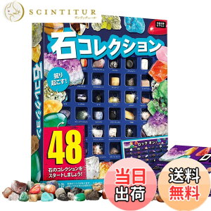 �y���������zXXTOYS �z�ΕW�{48�� �i�V���i���W�I�O���t�B�b�N�V�R�z�� ��΂������� ��ΕW�{ �N���X�}�X �v���[���g ���b�N���~�l���� �R���N�V���� �W�F���X�g�[�� �n���Ȋw�L�b�g 48�Z