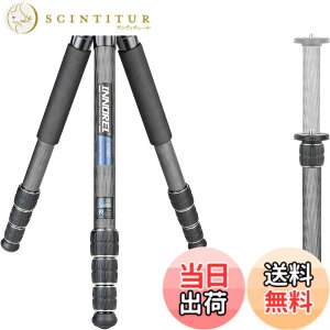 �y���������zINNOREL CT-�V���[�Y �J�����O�r �J�[�{���O�r ��჌�t�O�r �F�F�O�r�̂݁A�T�C�Y�FCT85C