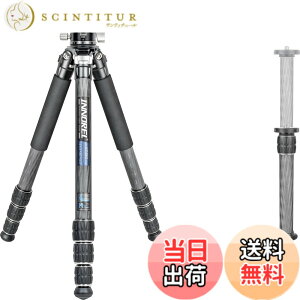 �y���������zINNOREL CT-�V���[�Y �J�����O�r �J�[�{���O�r ��჌�t�O�r �F�F�O�r�Ɖ_��L�b�g�A�T�C�Y�FCT75C