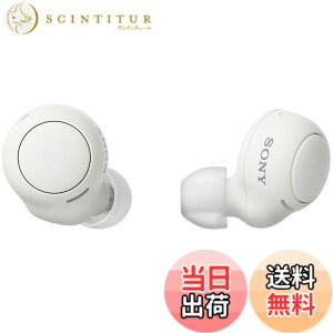 �y���������z�\�j�[(SONY) ���S���C�����X�C���z�� WF-C500/WF-C510 :/�����x�ʘb�i��/IPX4�h�H���\ �F�F�z���C�g�A�T�C�Y�F�����^