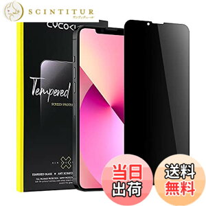 �y���������ziPhone �K���X�t�B���� �`�����h�~ �T�C�Y�FiPhone 13 mini