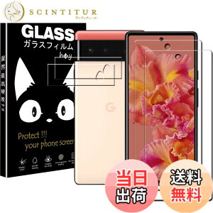 �y���������z4X-HZLZL �T�C�Y�FGoogle Pixel 6 �p��