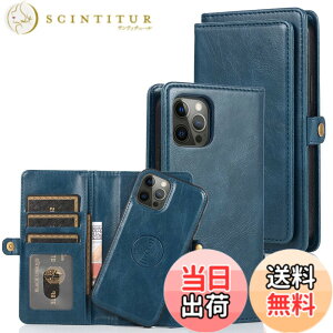 �y���������zfor iPhone 13 Many Card Slots 2in1 Detachable Wallet Case �F�F�u���[�A�T�C�Y�FiPhone 13 Pro Max