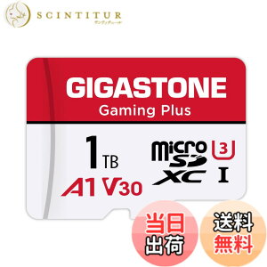 �y���������zGIGASTONE �}�C�N��sd�J�[�h 1TB-2-1 Core Group �F�F1TB Gaming Plus 1���Z�b�g�A�T�C�Y�F1TB