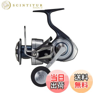 �y���������z�_�C��(DAIWA) �X�s�j���O���[�� 21�Z���e�[�g SW 5000~6000�T�C�Y �W�M���O/�L���X�e�B���O/�V���A�W�M���O (2021���f��) �F�F��, �O���[�A�T�C�Y�F6000