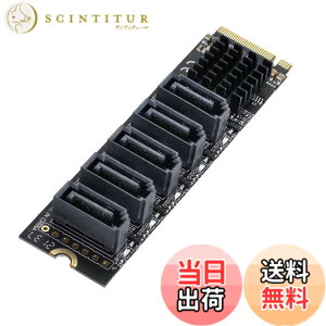 �y���������zCablecc NGFF �L�[ B+M ���� SATA 3.0 6Gbps 5�|�[�g �A�_�v�^�[ �R���o�[�^�[ �|�[�g JMB575 2280 �F�FBlack M-key to 5 SATA
