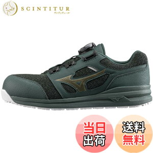 �y���������zMIZUNO(�~�Y�m) �����Y ���S�C �I�[���}�C�e�B LS252L BOA���[�N�V���[�Y �F�F�O���[��x�S�[���h�A�T�C�Y�F28.0 cm 3E