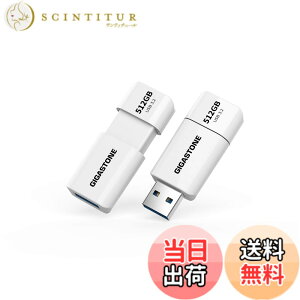 �y���������zUSB Flash drive Z40 Z60 16-64GB 1,2,5,10PK Group UG4 �F�F����A�T�C�Y�F512GB*2�Z�b�g
