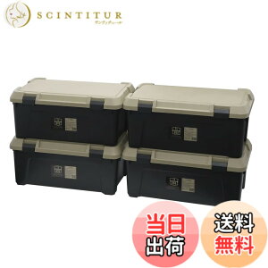 �y���������zJEJ�A�X�e�[�W ���[�{�b�N�X �X�g�b�J�[ �F�F4)�T���h�x�[�W��(S�V���[�Y)�A�T�C�Y�F5)54L[4�Z�b�g]