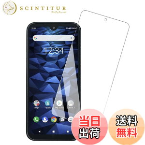 �y���������z�K���X�t�B���� �S�ʕی� �����K���X �t���ی�t�B���� �F�F1�� DIGNO BX2