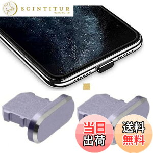 �y���������zWave Design�y ���� ���� �A���~�j�E�� �� �ی�L���b�v For iPhone �h�o �݊��� �z For iPad �h�o �ی� �J�o�[ �݊��� ���C�g�j���O�[�d�� �h�o �R�l�N�^ �_�X�g�v���O 2�� F.Wave �}�C�N