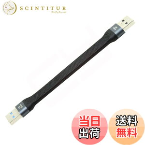 �y���������zCablecc USB-C Extension Cable Flat Slim FPC Data Cable for Laptop & Phone 13cm �F�FBlack Type A Male to Male 10Gbps