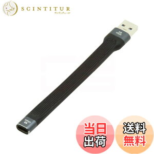 �y���������zCablecc USB-C Extension Cable Flat Slim FPC Data Cable for Laptop & Phone 13cm �F�FBlack Type C Female to Type A Male 10Gbps
