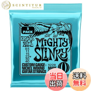 �y���������z�y���K�i�z ERNIE BALL �G���L�M�^�[�� SLINKY �F�F�}�C�e�B�[(8.5-40)�A�T�C�Y�F8.5-40