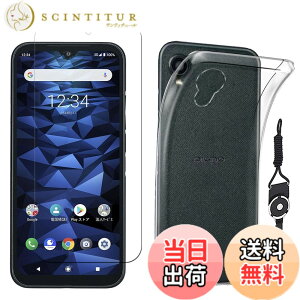 �y���������zkejiamo �K���X�t�B���� �F�F�����A�T�C�Y�FD-�y1+1�zDIGNO BX2