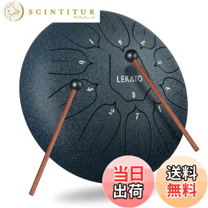 �y���������z�X���b�g�h���� �X�`�[���^���O�h���� LEKATO �����h���� 11�� 6�C���` �Ŋy�� �}���b�g ���[�o�b�O�t�� �ґz ���K �T �F�F�l�C�r�[�u���[ 10�C���`