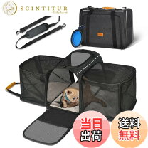 楽天市場】morpilotの通販
