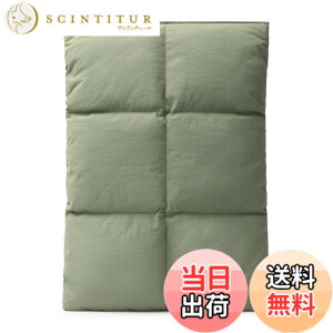 �y���������zComfyable puffy sleeve for MacBook �F�F�I���[�u�O���[���A�T�C�Y�FFor 13-14 Mac Air / Mac Pro