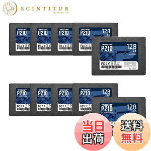 �y���������zPatriot P210 Parent Solid State Drive SSD �F�F�u���b�N�A�T�C�Y�F128GB 10 Pack