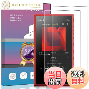 �y���������zPCduoduo�t�B���� �����K���X �F�F2�� Sony NW-A100 /NW-A300�A�T�C�Y�F2�� Sony NW-A100 /NW-A300