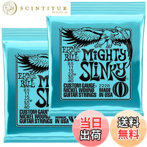 �y���������z�y���K�i�z ERNIE BALL �G���L�M�^�[�� SLINKY �F�F�}�C�e�B�[(8.5-40)�A�T�C�Y�F8.5-40