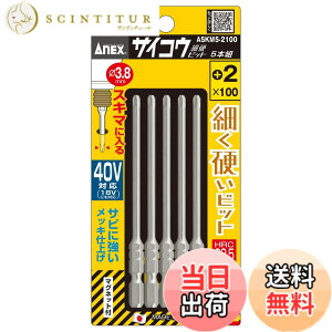 �y���������z�A�l�b�N�X(ANEX) �F�F�V���o�[�A�T�C�Y�F+2x100