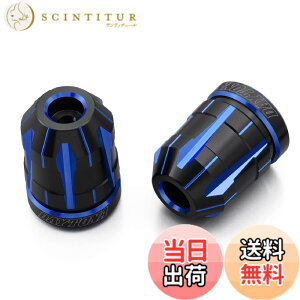 �y���������z�f�C�g�i(Daytona) PREMIUM ZONE(�v���~�A���]�[��) �o�C�N�p �o�[�G���h TECHNO/BRICK/KIRIKO/�X�N���b�` �F�F�u���[�A�T�C�Y�F�z���_(M6)