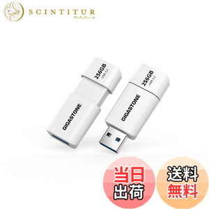 �y���������zUSBdrive Z60 series section2 �F�F����A�T�C�Y�F256GB 2�Z�b�g