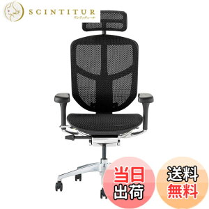 �y���������z�G���S�q���[�}��2(ergohuman2) �I�t�B�X�`�F�A ENJOY �G���W���C �F�F���b�V��:�u���b�N / �t���[��:�u���b�N�A�T�C�Y�F�n�C�^�C�v