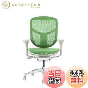 �y���������z�G���S�q���[�}��2(ergohuman2) �I�t�B�X�`�F�A ENJOY �G���W���C �F�F���b�V��:�O���[�� / �t���[��:�O���[�A�T�C�Y�F���[�^�C�v