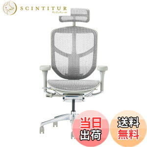 �y���������z�G���S�q���[�}��2(ergohuman2) �I�t�B�X�`�F�A ENJOY �G���W���C �F�F���b�V��:�O���[ / �t���[��:�O���[�A�T�C�Y�F�n�C�^�C�v