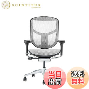 �y���������z�G���S�q���[�}��2(ergohuman2) �I�t�B�X�`�F�A ENJOY �G���W���C �F�F���b�V��:�z���C�g / �t���[��:�u���b�N�A�T�C�Y�F���[�^�C�v