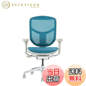�y���������z�G���S�q���[�}��2(ergohuman2) �I�t�B�X�`�F�A ENJOY �G���W���C �F�F���b�V��:�O���[ / �t���[��:�O���[�A�T�C�Y�F���[�^�C�v